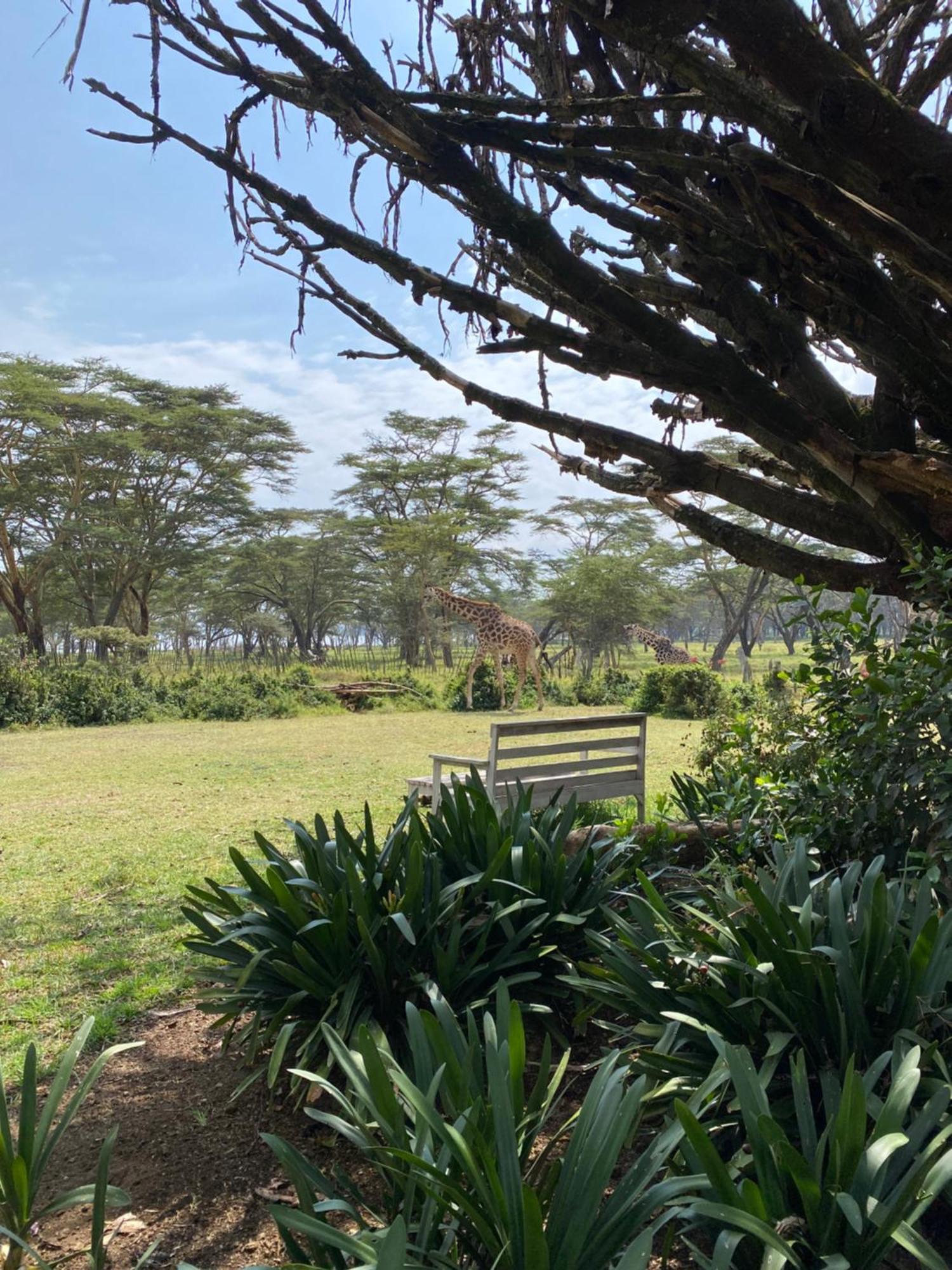 The Sanctuary Farm House Lake View Wildlife Найваша Экстерьер фото
